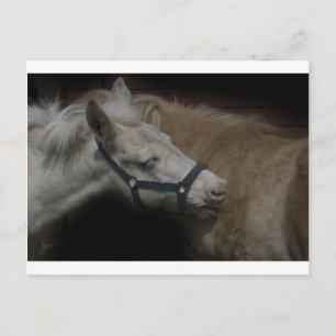 SCHIENENFREUNDE 04 POSTKARTE