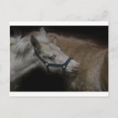 SCHIENENFREUNDE 04 POSTKARTE (Vorderseite)