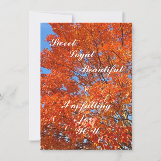 Schießen Sie Ihren Schuss auf ihre flache Grußkart (Vorderseite)