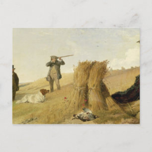 Schießen von Partridge über Hunde (siehe auch 6363 Postkarte