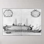 Schiff auf dem Rumpf Poster (Vorne)