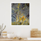 Schiff auf Felsen Poster (Küche)