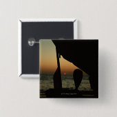 Schiff Button (Vorne & Hinten)