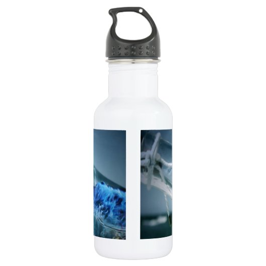 Schiff in einer Flasche Trinkflasche (Rückseite)