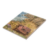 Schiff RMS Mulheim Lands End Cornwall Fliese (Seite)