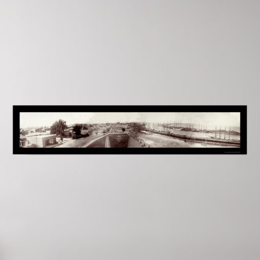 Schiff San Pedro Hafen Foto 1904 Poster (Vorne)