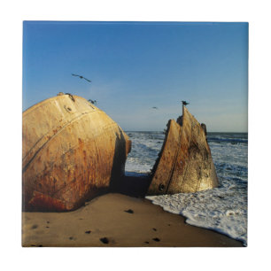 Schiffbruch am Strand, Skeleton Coast, Namibia Fliese