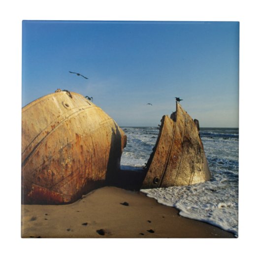 Schiffbruch am Strand, Skeleton Coast, Namibia Fliese (Vorderseite)