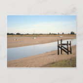 Schiffe auf den Mudflats Postkarte (Vorderseite)