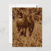 Schiffe bereit zum Pflügen Postkarte (Vorne/Hinten)