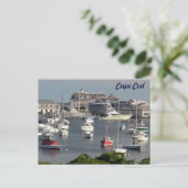 Schiffe im Hafen von Cape Cod im Sommer Postkarte (Stehend Vorderseite)