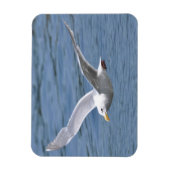 Schifffahrt über Wasser Magnet (Vertikal)