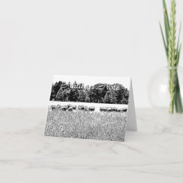 SCHIFFFIELD FOTO ANIMAL NOTE CARD