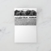 SCHIFFFIELD FOTO ANIMAL NOTE CARD (Innenseite)