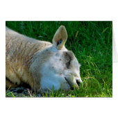 SCHIFFSKARTE (Vorderseite (Horizontal))