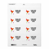 SCHIFFSKENNZEICHNUNGEN (Vorne)