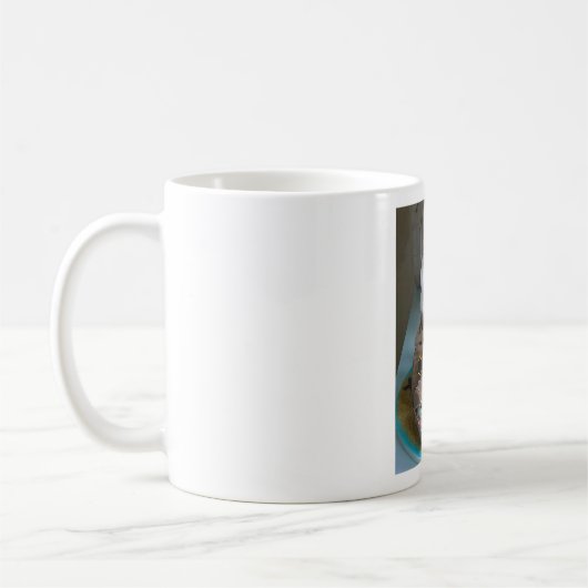 Schiffskuchen 1 kaffeetasse (Links)
