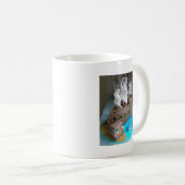 Schiffskuchen 1 kaffeetasse (VorderseiteRechts)