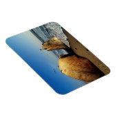 Schiffswrack On Beach, Skelettküste, Namibia Magnet (Rechte Seite)