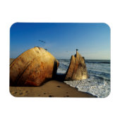 Schiffswrack On Beach, Skelettküste, Namibia Magnet (Horizontal)