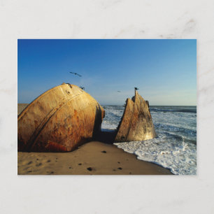 Schiffswrack On Beach, Skelettküste, Namibia Postkarte