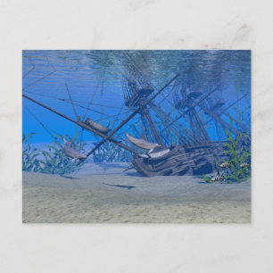 Schiffswrack Postkarte