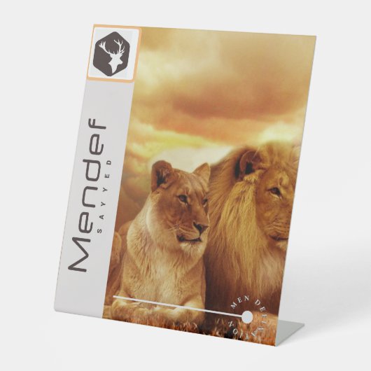 Schild (Vorderseite)