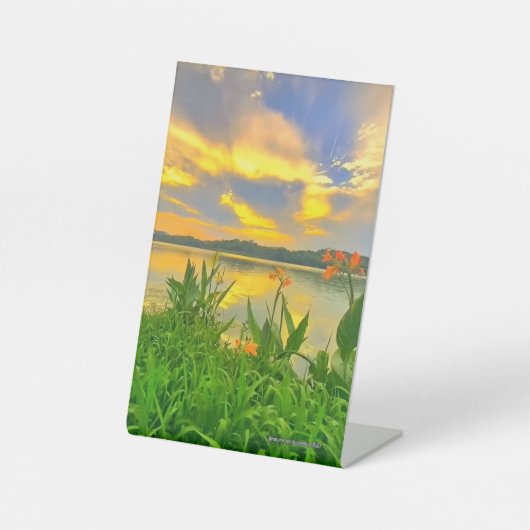 Schild (Vorderseite)