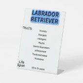 Schild (Vorderseite)