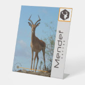 Schild (Vorderseite)