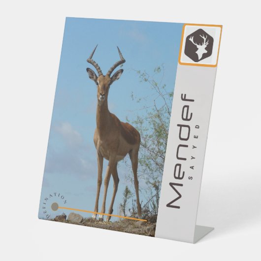 Schild (Vorderseite)