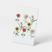 Schild (Vorderseite)