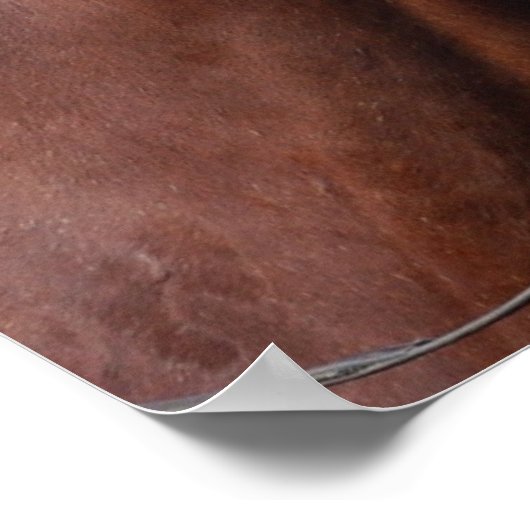 Schild mit geflochtenem Pferdeschwanz (Ecke)