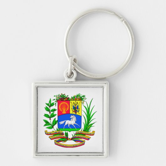 Schild von Venezuela Schlüsselanhänger (Vorne)
