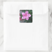 Schilder (20) Stück Quadratischer Aufkleber (Tasche)