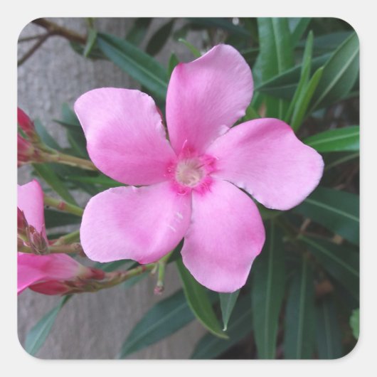 Schilder (20) Stück Quadratischer Aufkleber (Vorderseite)