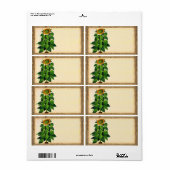 Schilder für Sonnenblumen (Vorne)