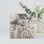 Schildkartentasche (Stehend Vorderseite)