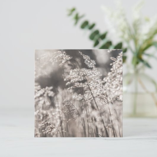 Schildkartentasche (Stehend Vorderseite)