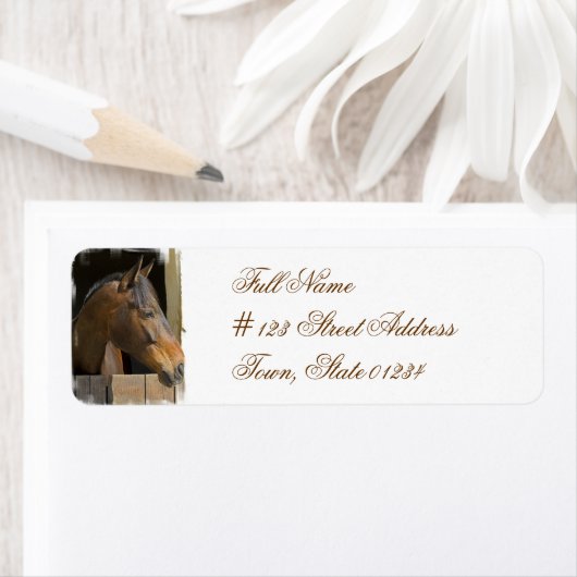 Schildkröte (Insitu)