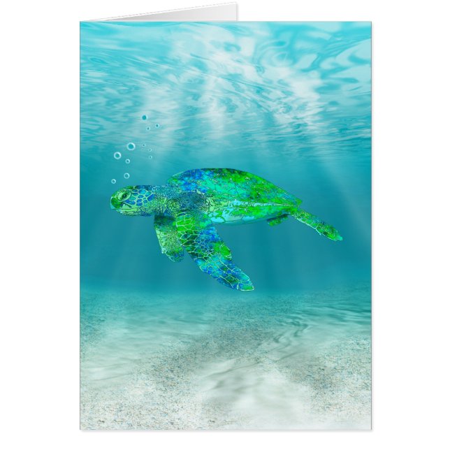 Schildkröte (Vorne)