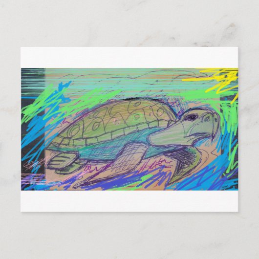 Schildkröte 7 postkarte (Vorderseite)