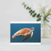 Schildkröte-863 Postkarte (Stehend Vorderseite)