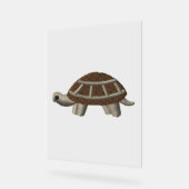 Schildkröte Acrylschild (Winkel)