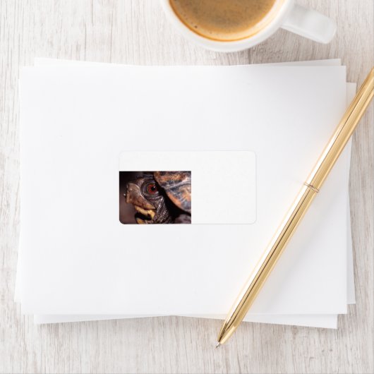 Schildkröte Adressaufkleber (Insitu)