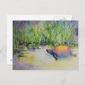 Schildkröte am Strand Postkarte (Vorne/Hinten)