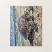 Schildkröte am Strand Puzzle (Vertikal)