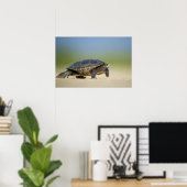 Schildkröte/Amphibien-Nah-Up-Foto-Poster Poster (Heimbüro)