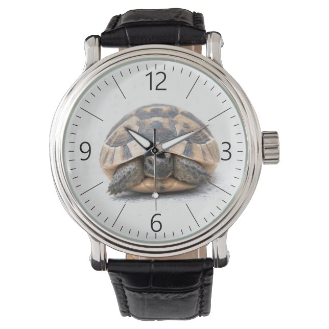 Schildkröte Armbanduhr (Vorderseite)