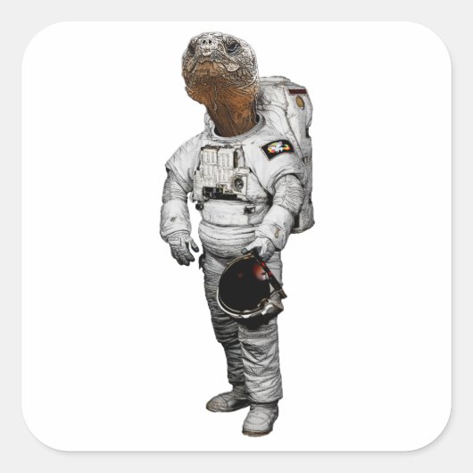 Schildkröte Astronaut Sticker (Vorderseite)
